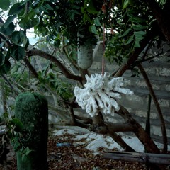 Kenyan coast fieldrecordings