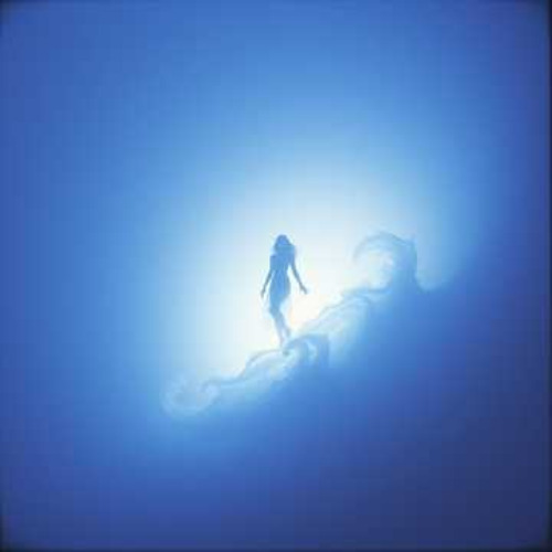 A Siren's Call