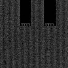 Dorian - Seeds Field