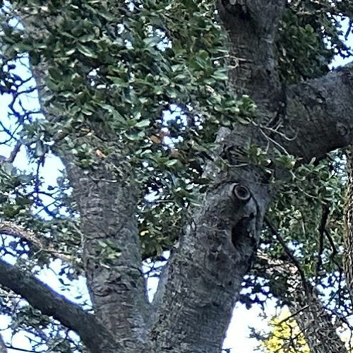 Prying The Moon From Your Hands