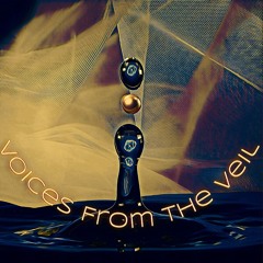 VoicesFromTheVeil