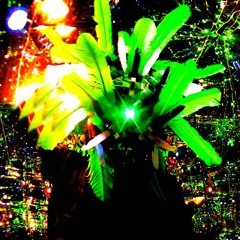 TREE GHOST LAZER FALCON - 2014 - 'FRIENDLY FOREST'