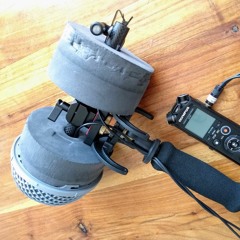 Baffled Omni Array Test