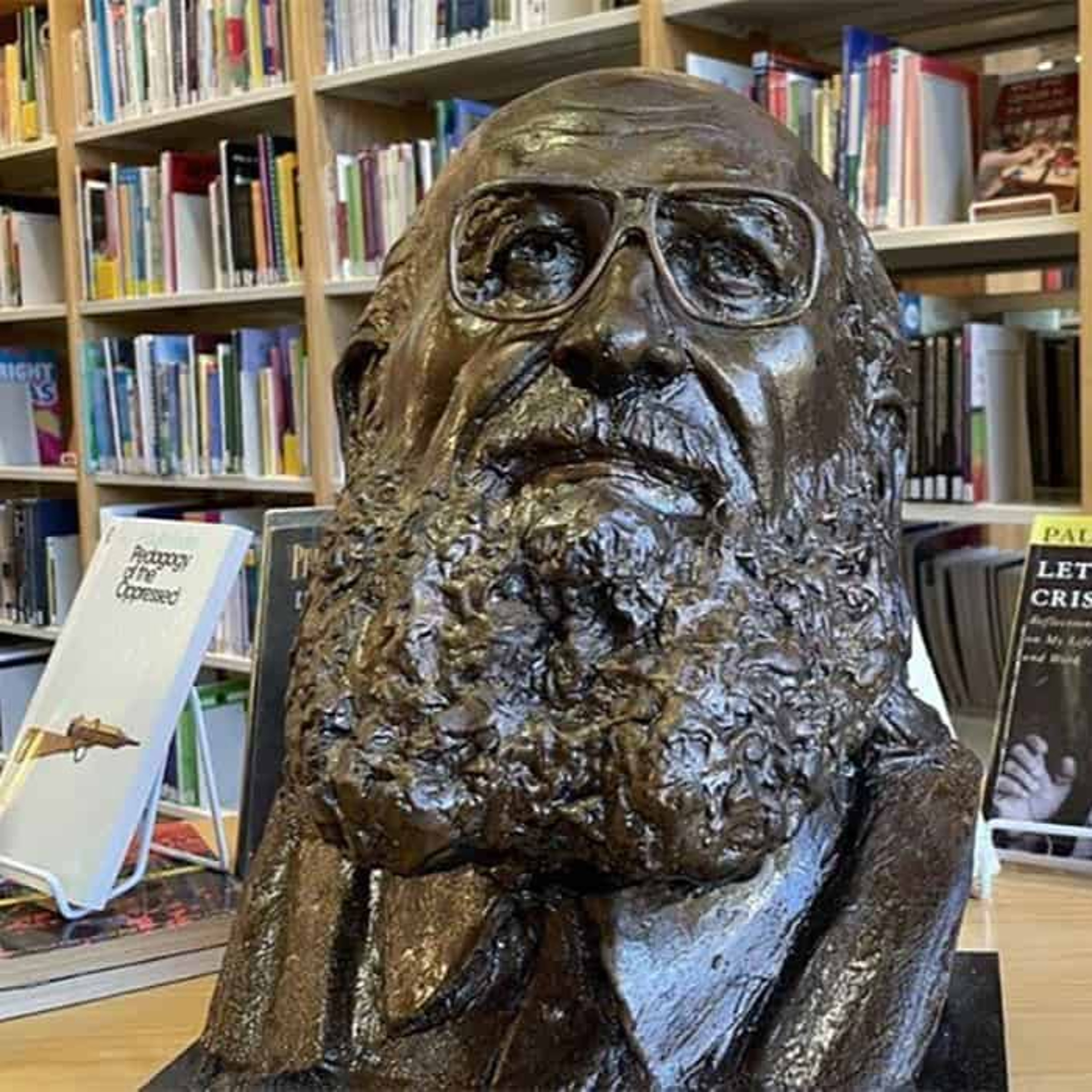 28.07.2026 = HISTÓRIAS DA CÂMARA = EDUCADOR PAULO FREIRE TEVE RELAÇÃO COM A CÂMARA DE SÃO PAULO episode artwork