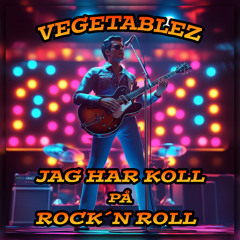 Jag har koll på Rock´n Roll
