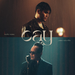 [Reup] Cay - Nguyễn Hoàng Mix