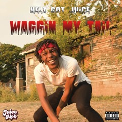 Waggin My Tail