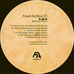 R.M.K - Werk It (ALNA Remix)