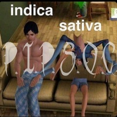 P.I.P.S.O.C - BROOKYN