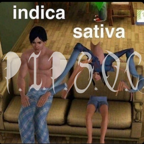 P.I.P.S.O.C - BROOKYN