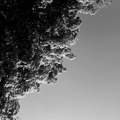 Coadex - Dirty Trancing (Original Mix)