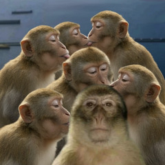 5 billion beat switches