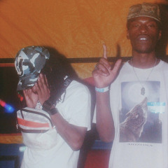 twin twin prod. catmintsq