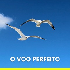 145 O Voo Perfeito - Nova Edição