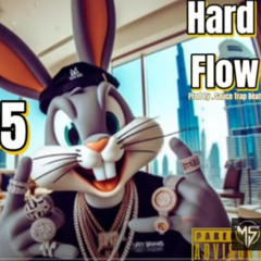 ''Hard Flow'' Prob By. Sauce Trap Beats