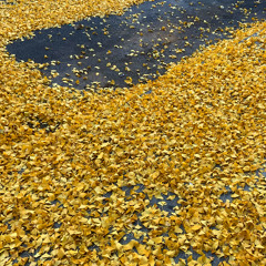 Open Spot Mix - 2021