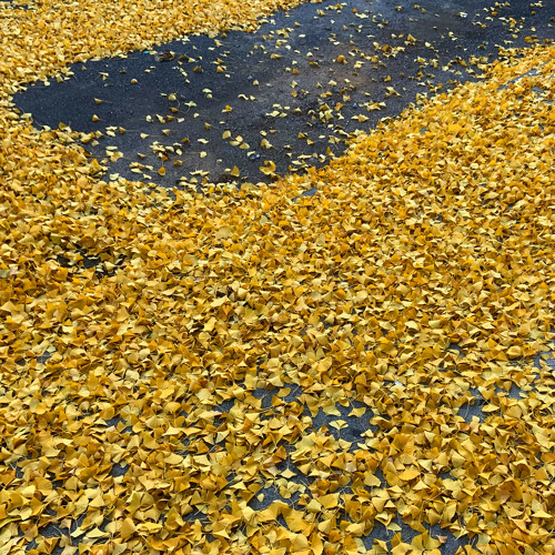 Open Spot Mix - 2021