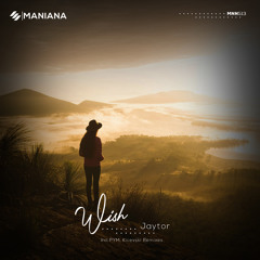Wish (PYM Remix)