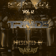 SOUNDS FROM THE SAND VOL. 12: TRNDS