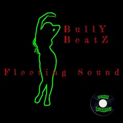 BullY BeatZ - Fleeting Sound [clip].wav