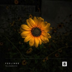 Feelings (Sad Emotional Lo-Fi Type Beat) - Instrumental