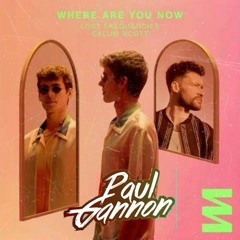 Lost Frequencies feat. Calum Scott - Where Are You Now (Paul Gannon Bootleg) [Free Download]