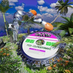 TT23 - cdjtigersnake