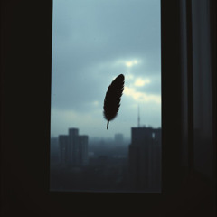 비둘기 (A Pigeon)