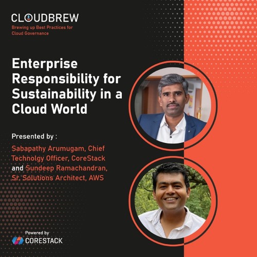 Enterprise Responsibility for Sustainability in a Cloud World