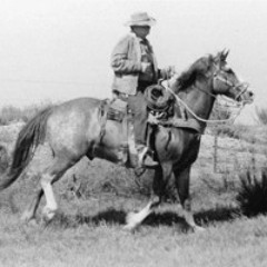 18 - Oh, Bury Me Not on the Lone Prairie - HankSr