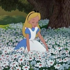 down the rabbit hole