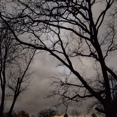 Looking out his Window Written & Performed by John Fitzpatrick Cox