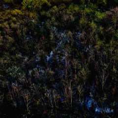 The Fifth Moon Rises