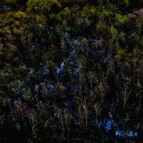 The Fifth Moon Rises