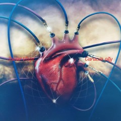 caracas city -  DPTO#3101