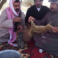 بدون موسيقى