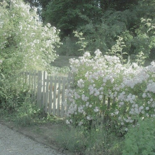 「独り言」- Asagaya Romantics