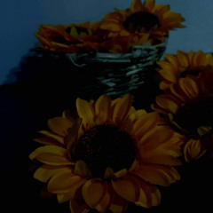 sunflower - shannon purser (slowed down)