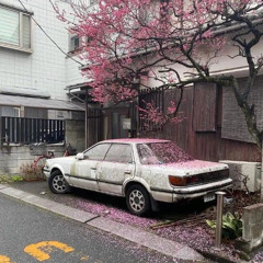 JAPAN FUNK