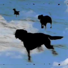 Mono no aware n°3 ~ madeooh @roughradio