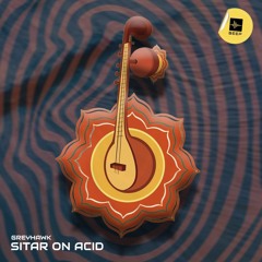 Sitar On Acid (Extended Mix)