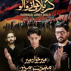 Karbala Janay Walon  Mir Hasan Mir | Mir Jawad Mir