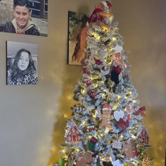 Santa's Surprise in July