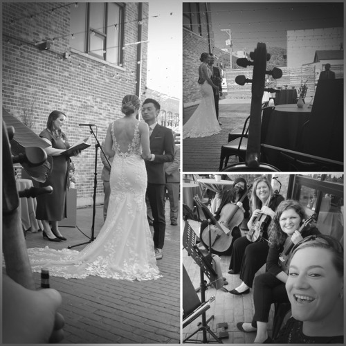 String Quartet