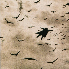 Vampires Out for Radio openbroadcast.ch