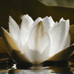 AFFECTIONATE BREATHINNG