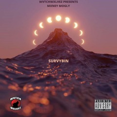 SURVYBIN (prod by TENNIS PLAYER)