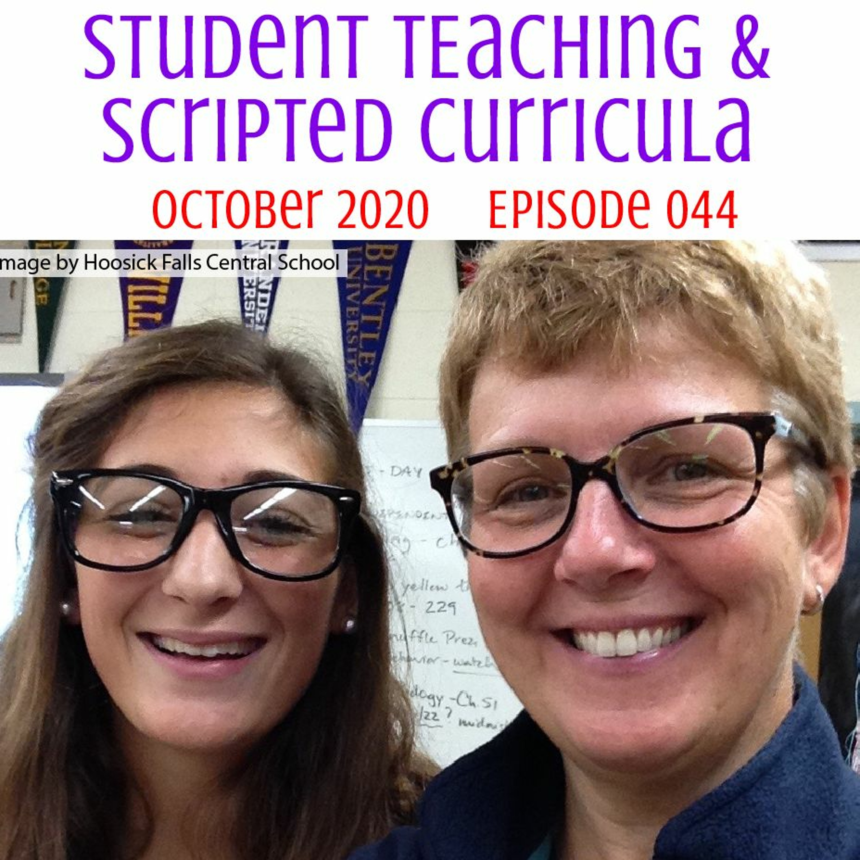 044 Student Teaching And Scripted Curricula