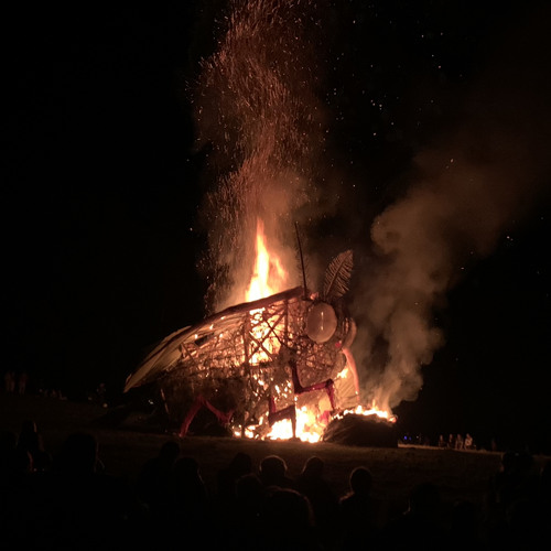 Firefly 2023 Bug Silent Disco