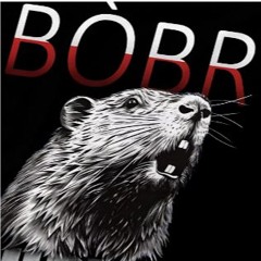 BOBR (A Song About A Beaver)